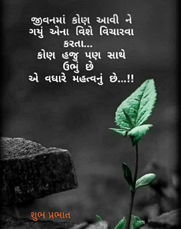 Gujarati Microfiction by chandrika indrodiya : 111118460