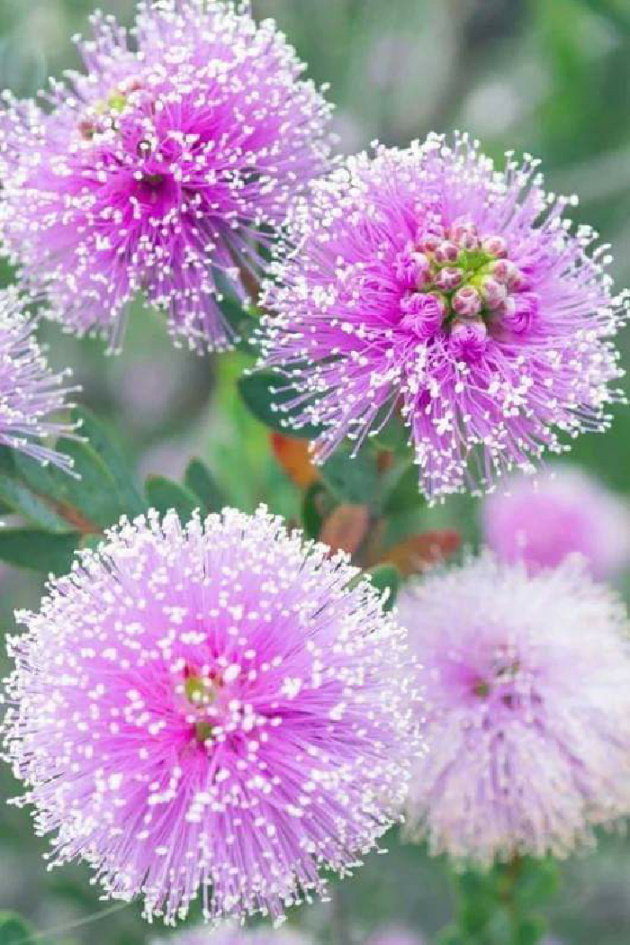 Gujarati Good Morning by Kavita Gandhi : 111118592