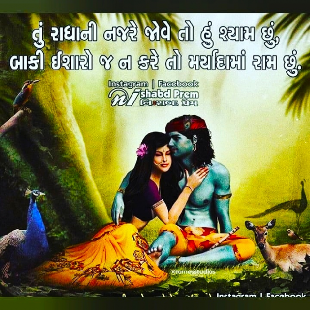 Gujarati Shayri by Prajapati Jayadip : 111118697