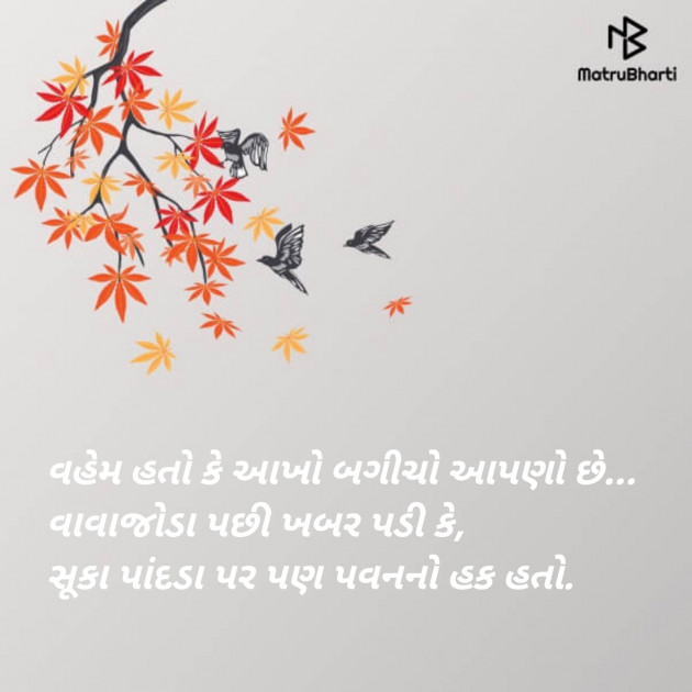 Gujarati Blog by Sajan Limbachiya : 111118748