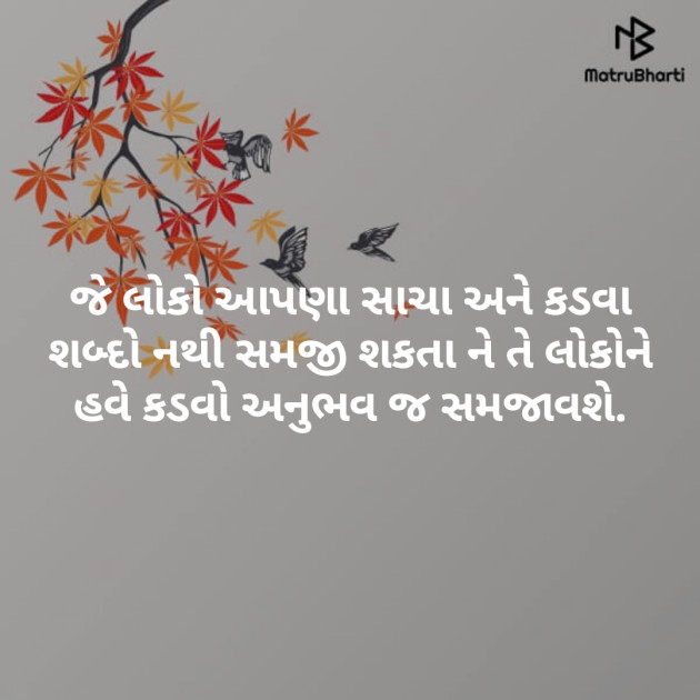 Gujarati Blog by Nikunj Patel : 111118839