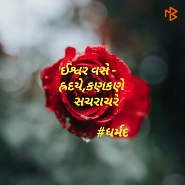 Gujarati Hiku by Dharmik Parmar : 111118922