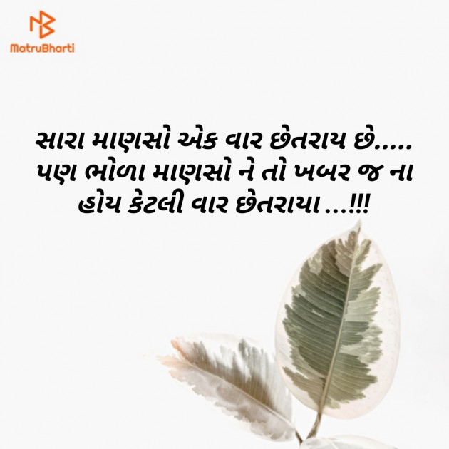 Gujarati Quotes by Shailesh jivani : 111119140