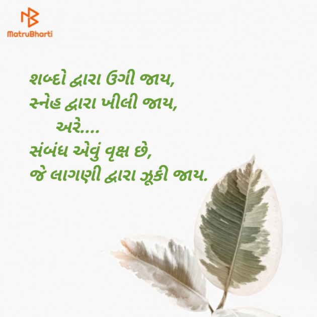 Gujarati Blog by Sajan Limbachiya : 111119445