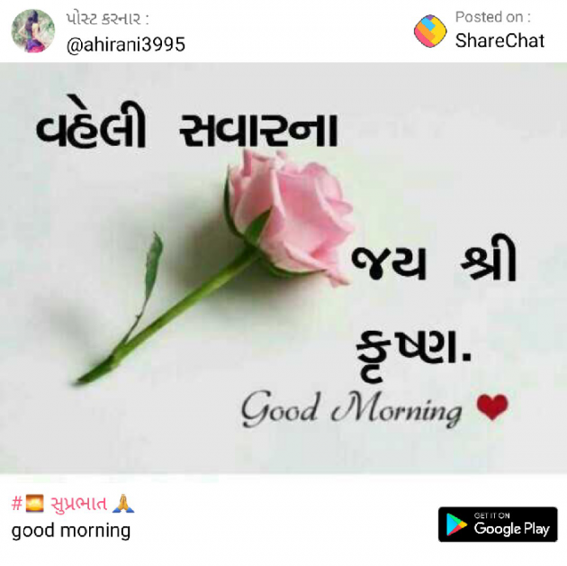 Gujarati Good Morning by Paresh Nagavadiya : 111119475