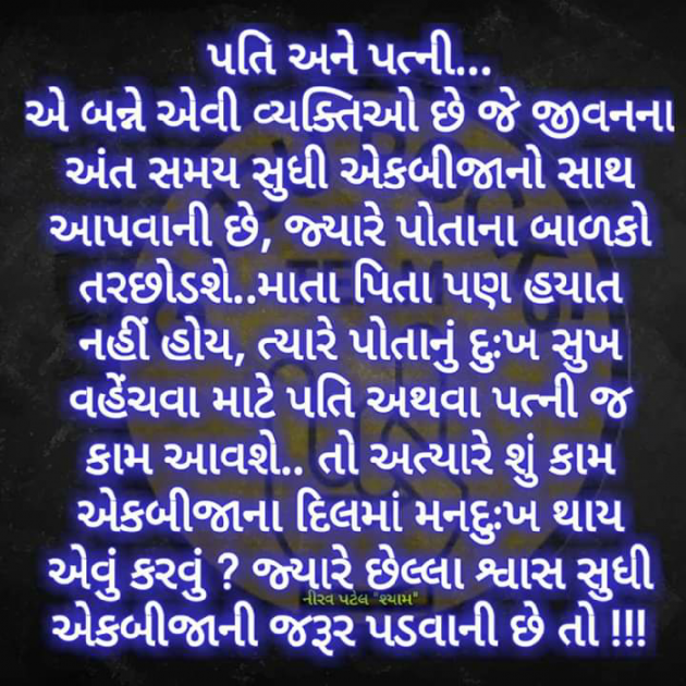 Gujarati Blog by Nirav Patel SHYAM : 111119687