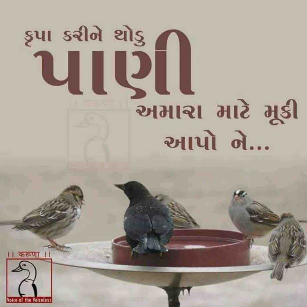 Gujarati Quotes by shah : 111119763