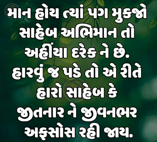 Gujarati Blog by Manish Patel : 111119787