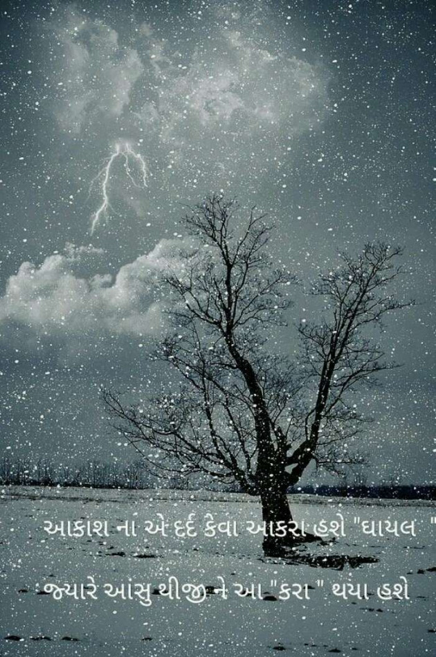 Gujarati Thought by Mira : 111119888