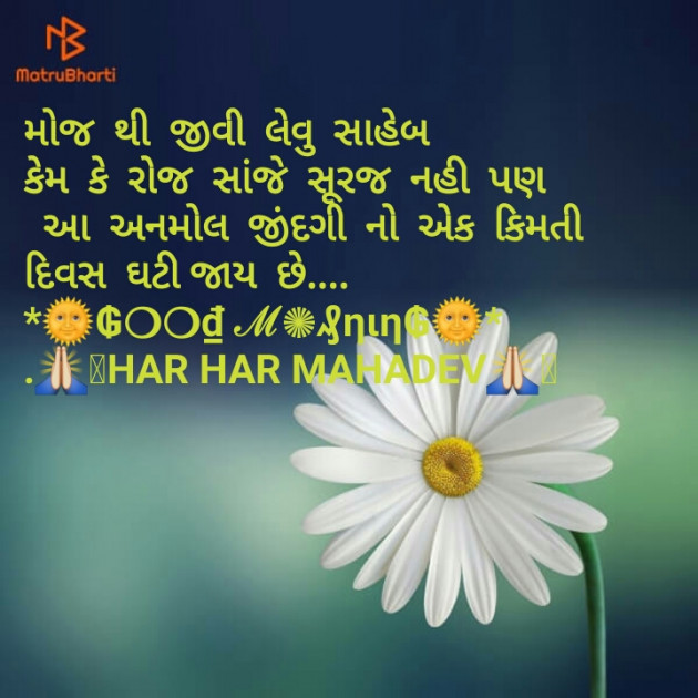 Gujarati Good Morning by Dhara Visariya : 111120214