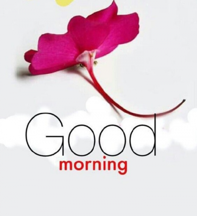 Gujarati Good Morning by Bharat Sinh Mahida : 111120221