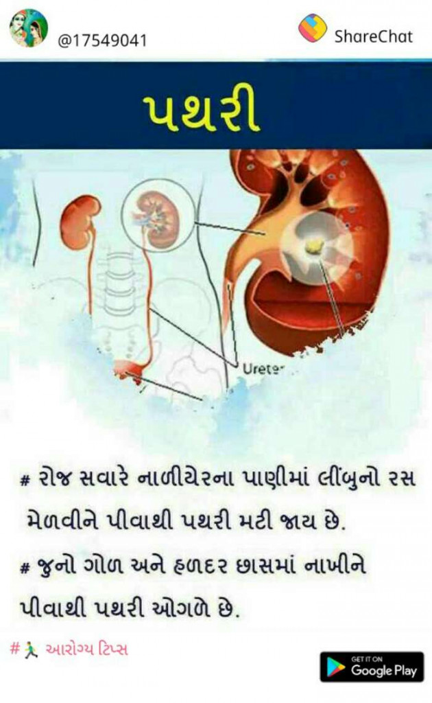 Gujarati Quotes by Rajesh Samdhiya : 111120434