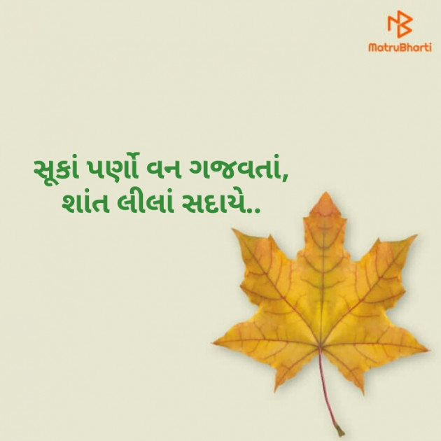 Gujarati Thought by Kinar Rana : 111120864
