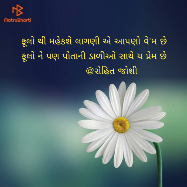 Gujarati Shayri by Joshi Rohit : 111120899