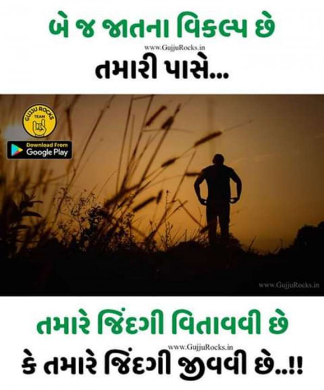 Gujarati Quotes by rsvyas : 111121950