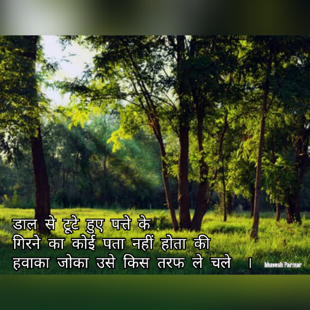 Gujarati Quotes by Parmar Bhavesh : 111122214