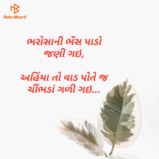 Gujarati Motivational by Kamlesh : 111122367