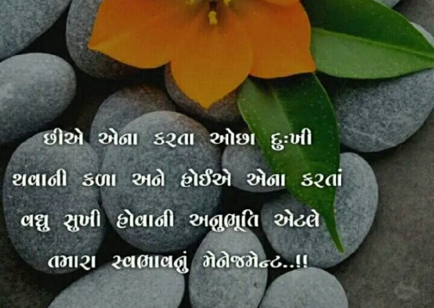 Gujarati Blog by Manish Patel : 111122721