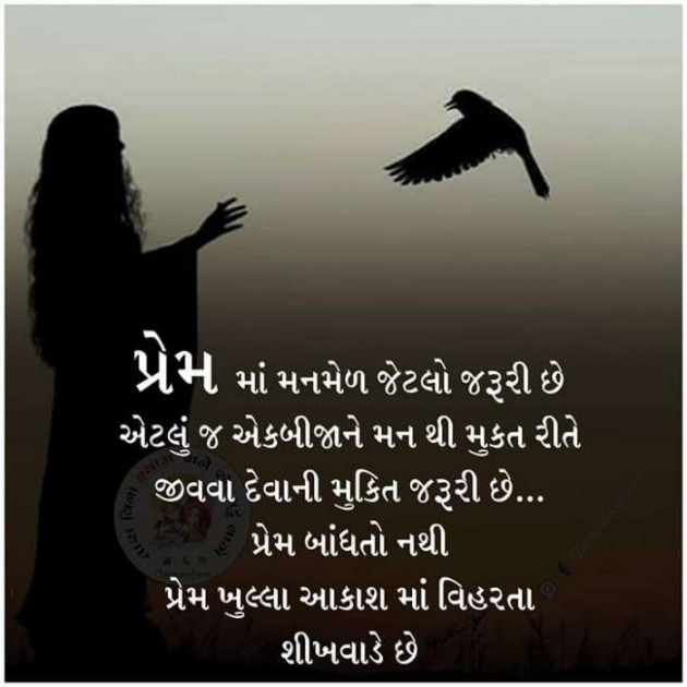 Gujarati Shayri by Reena Chauhan : 111122802