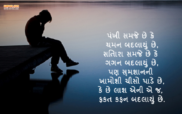 Gujarati Shayri by Chudasama Raj : 111122831