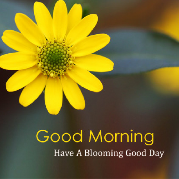 Gujarati Good Morning by Kavita Gandhi : 111123004