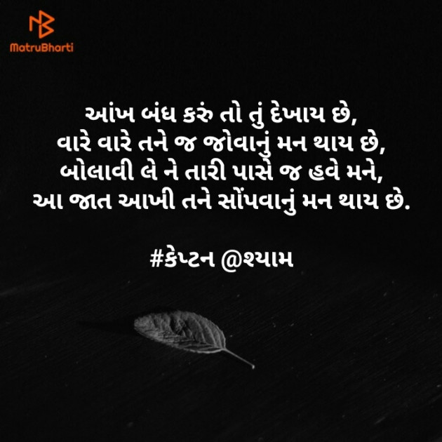 Gujarati Blog by Nirav Patel SHYAM : 111123047