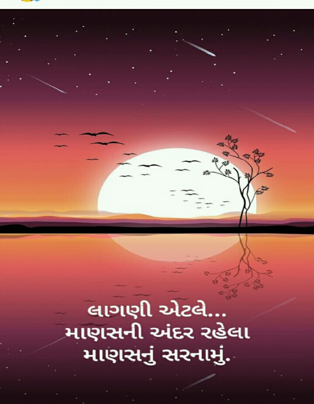 Gujarati Blog by Manish Patel : 111123313