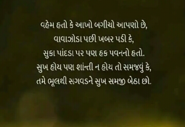 Gujarati Blog by Manish Patel : 111123325