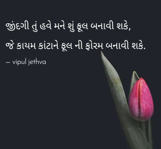 Gujarati Shayri by Vipul : 111123447