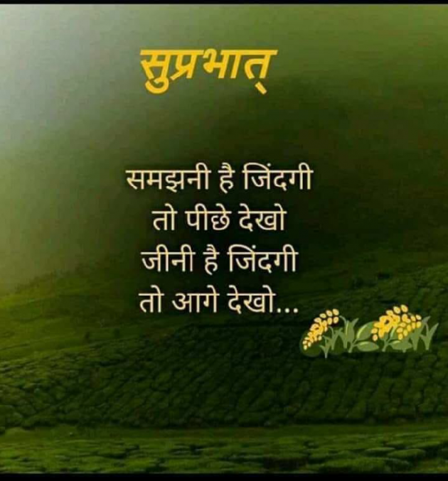 English Quotes by Afzal poptani : 111123485