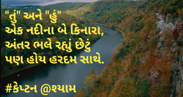 Gujarati Blog by Nirav Patel SHYAM : 111123711