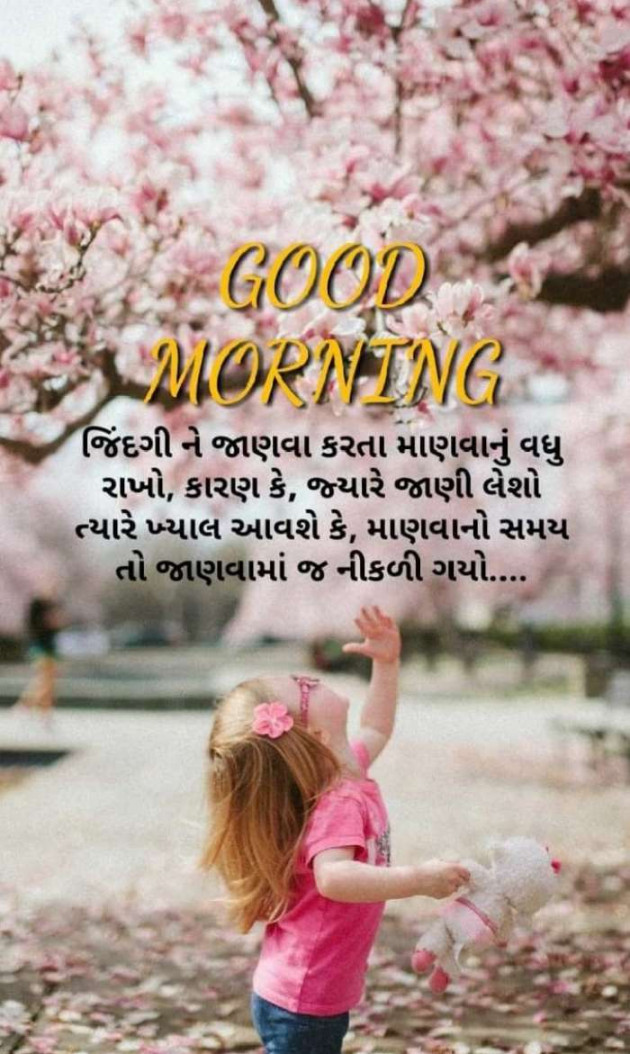 Gujarati Quotes by Sanjay Parmar : 111123743