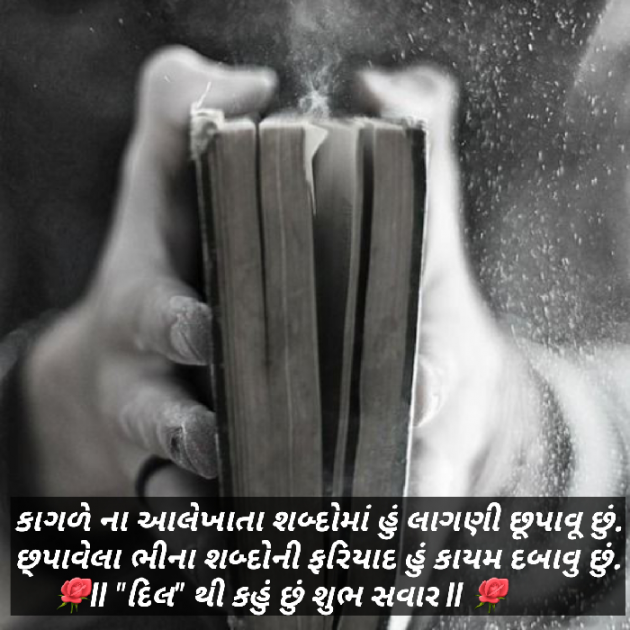 Gujarati Funny by Dakshesh Inamdar : 111123856