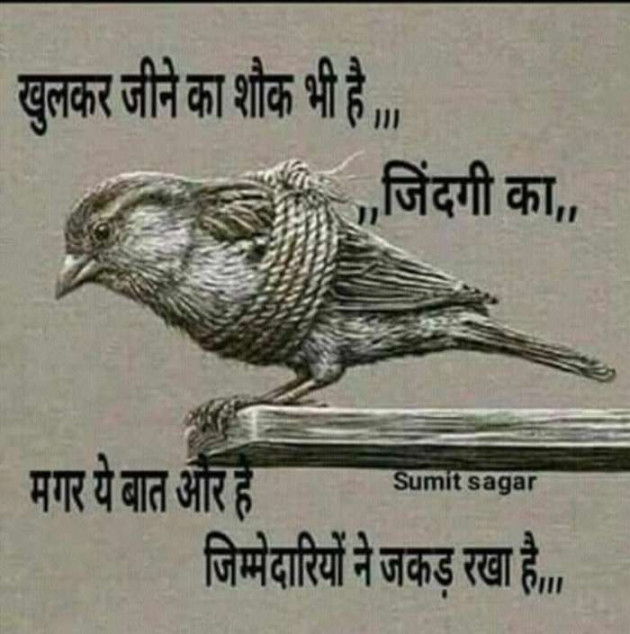 English Quotes by Jasmin Mistry Jasmin Mistry : 111123921