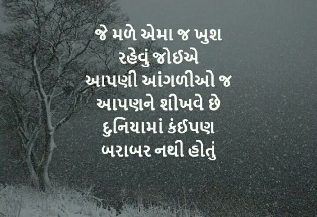 Gujarati Blog by Manish Patel : 111124063