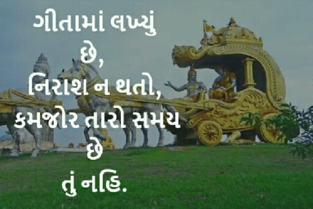 Gujarati Blog by Manish Patel : 111124064