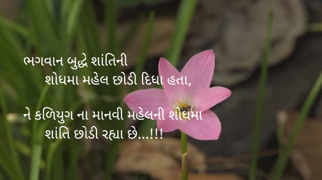 Gujarati Blog by Sajan Limbachiya : 111124123