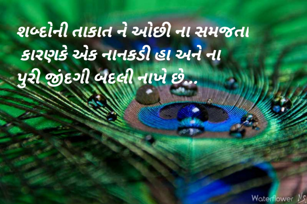 Gujarati Blog by Sajan Limbachiya : 111124139