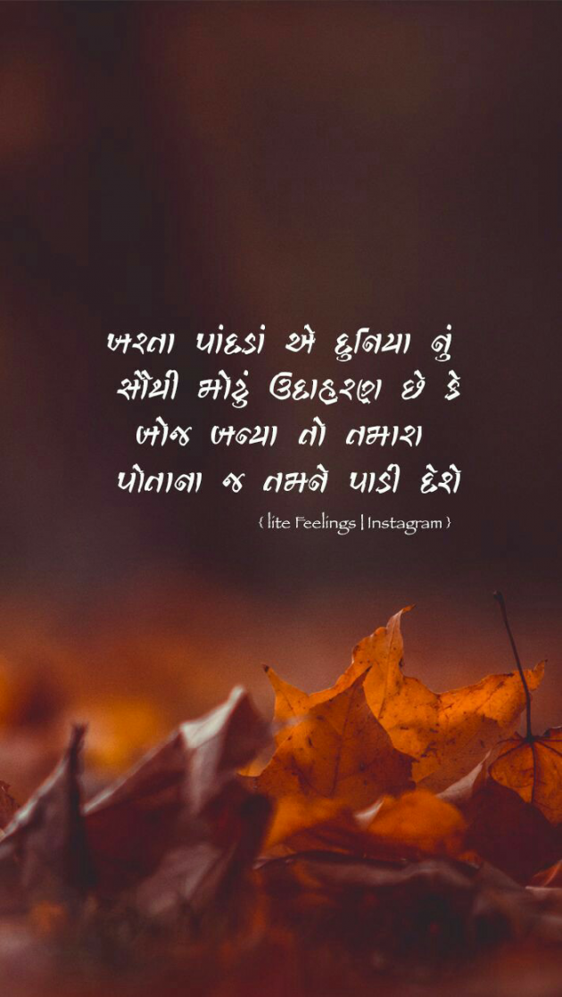 Gujarati Blog by Kavita Gandhi : 111124208