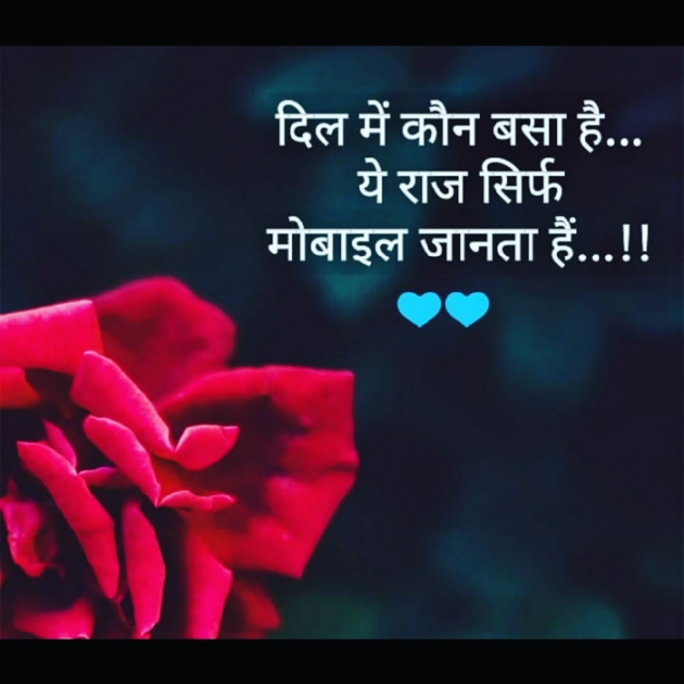 Gujarati Whatsapp-Status by Vins L B : 111124484