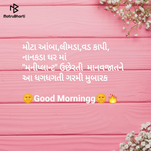 Gujarati Thought by Dhara Visariya : 111124513