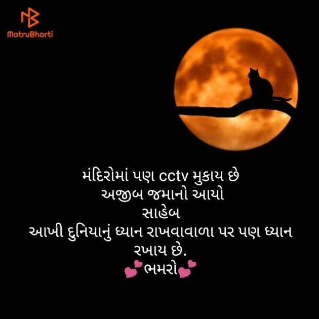 Gujarati Quotes by Bhamro : 111124603