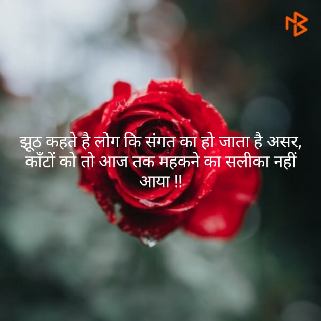 Gujarati Shayri by jagruti rathod : 111124775