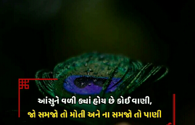 Gujarati Blog by Manish Patel : 111124828