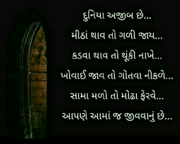 Gujarati Blog by Manish Patel : 111124905