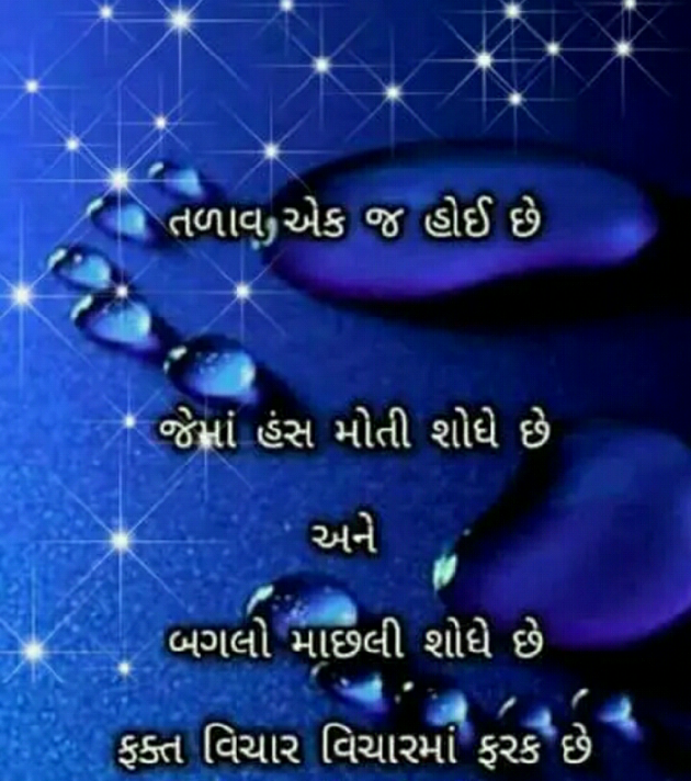 Gujarati Blog by Manish Patel : 111124982