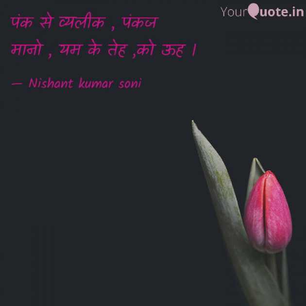 Hindi Quotes by Nishantsoni Soni : 111125130