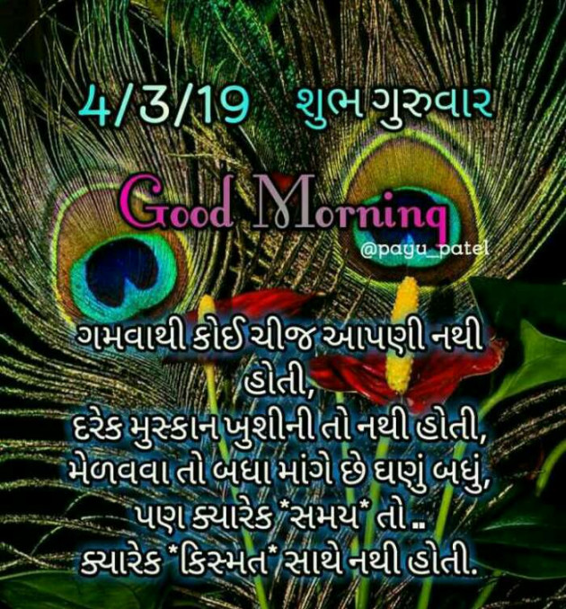 Gujarati Quotes by Mehul Kumar : 111125135