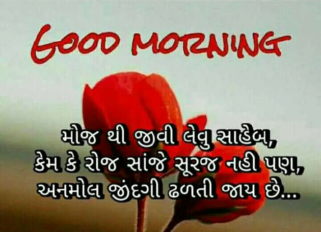 Gujarati Good Morning by Manish Patel : 111125155