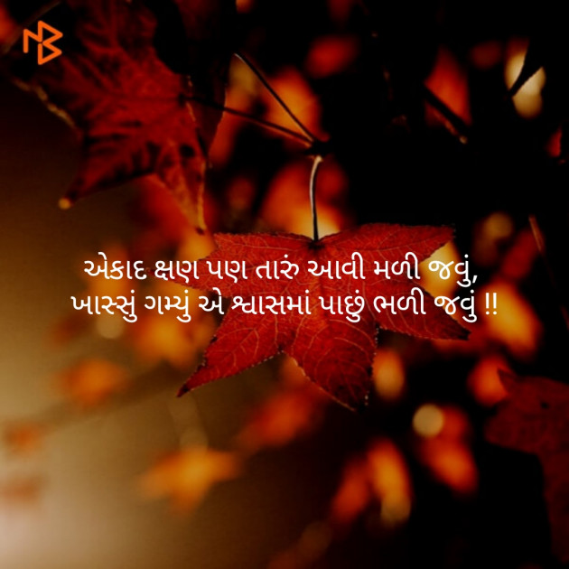 Gujarati Shayri by jagruti rathod : 111125166